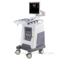 UW-F3 4D Color Doppler Pengimbas ultrabunyi (Model Asas 4D)